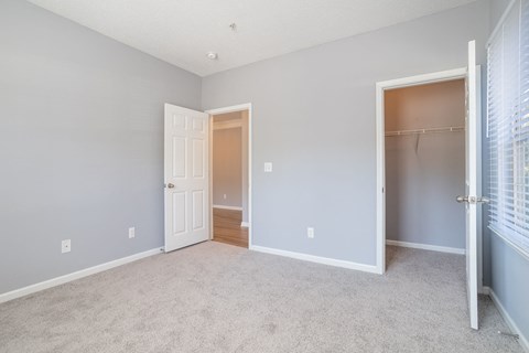 a bedroom with blue walls and a carpeted floor