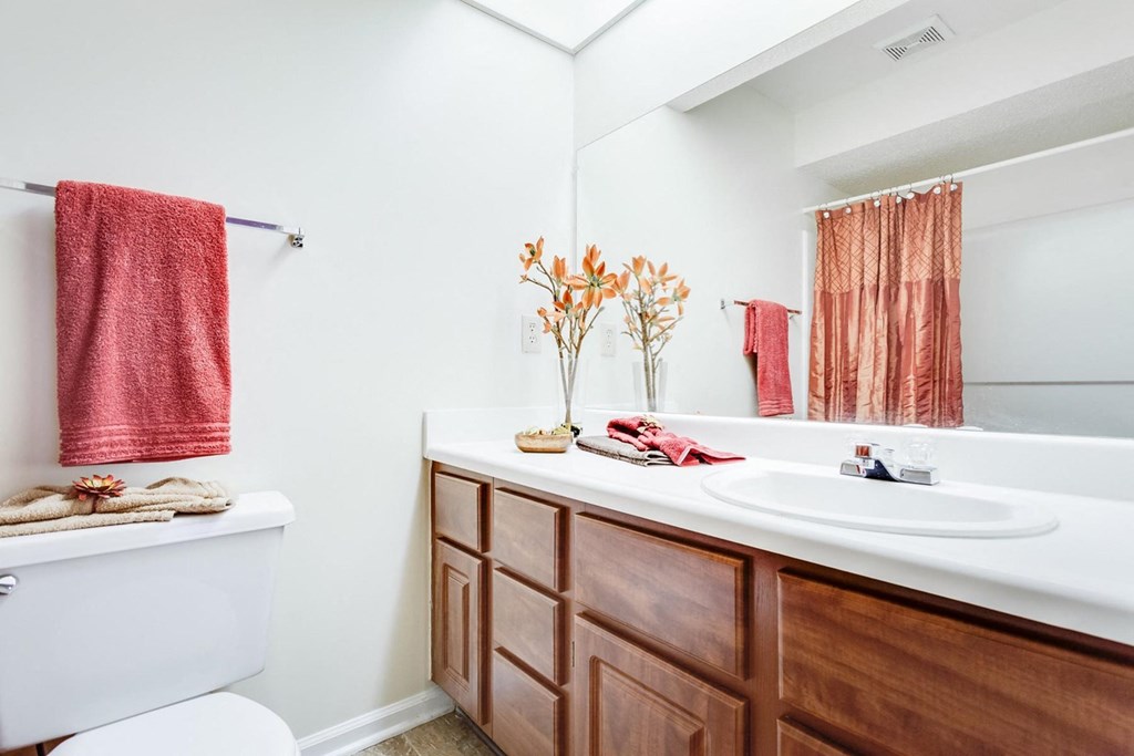 a bathroom with a toilet sink and bathtub at Arbors at Windsor Lake, South Carolina   