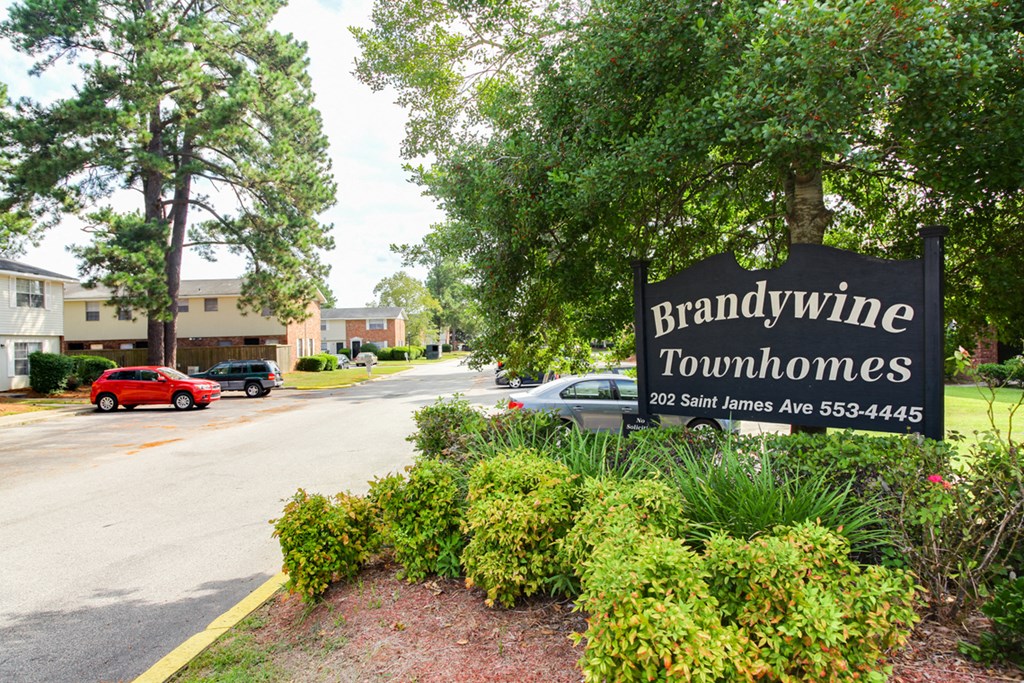 Welcoming Signage at Brandywine Townhomes, Goose Creek, 29445  