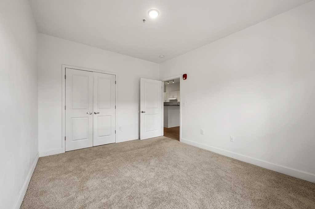 A room with white walls and a carpeted floor with a door and a closet.