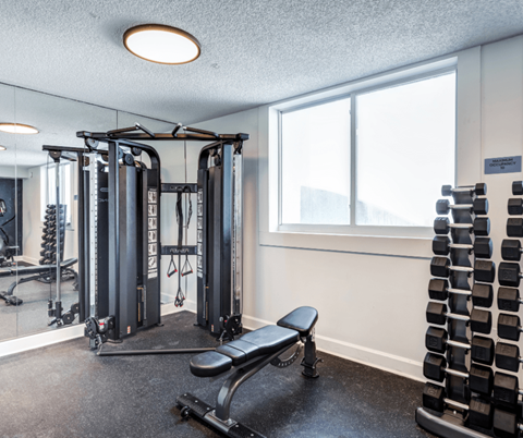 A gym with a variety of equipment including a leg press machine, a bench, and a rack of dumbbells.