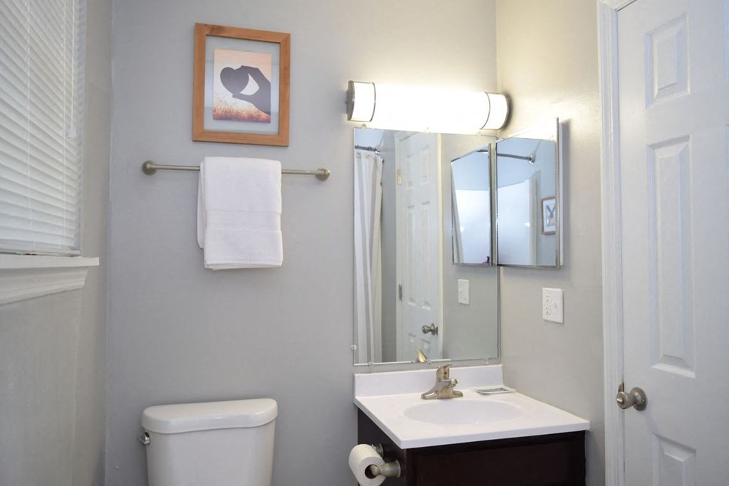 a small bathroom with a toilet sink and mirror at Brandywine Townhomes, South Carolina, 29445