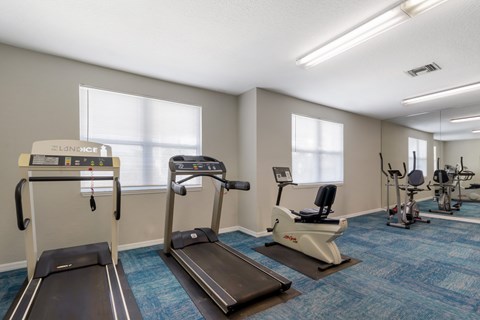 A gym with treadmills and elliptical machines.