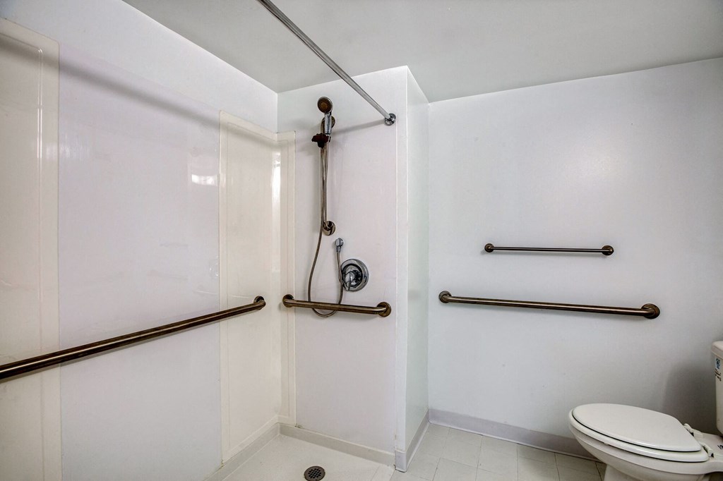 a bathroom with grab bars and a toilet