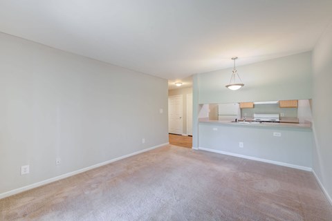 A room with a carpeted floor and a ceiling light.
