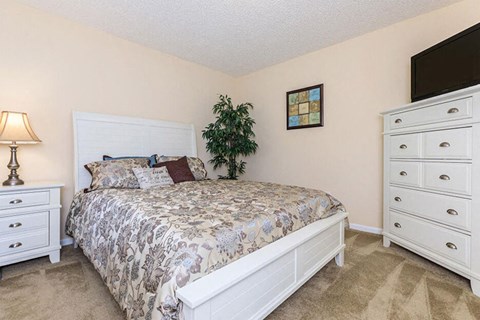 Bedroom With Adequate Storage at Cross Creek Apartments, South Carolina