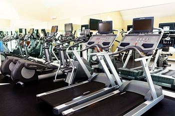 A row of treadmills and stationary bikes in a gym.