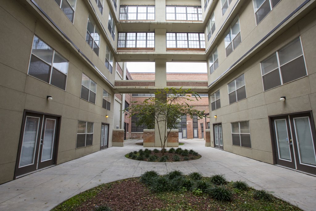a courtyard with a tree in the middle of an apartment building