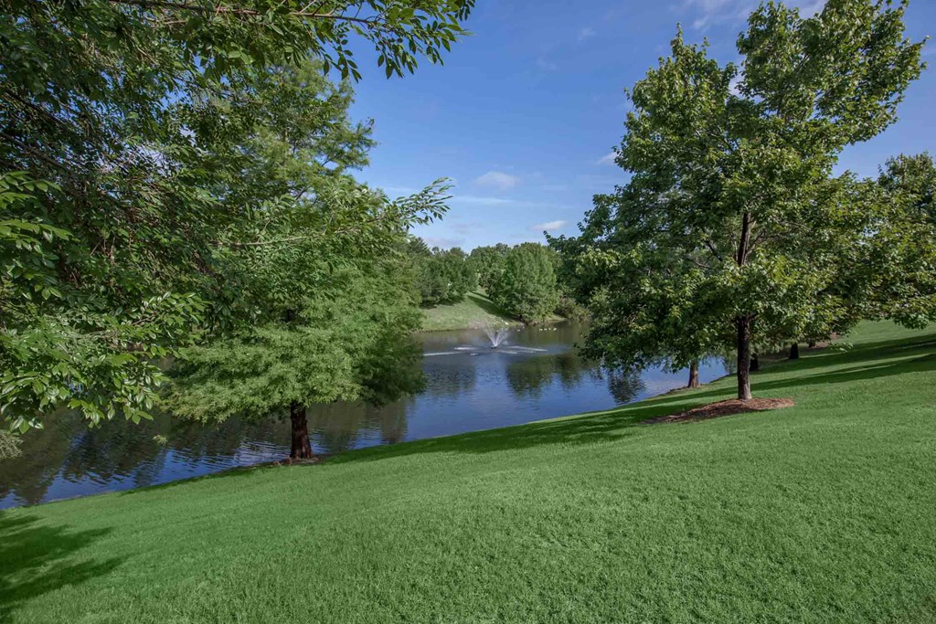 a view of a pond in a park with trees
