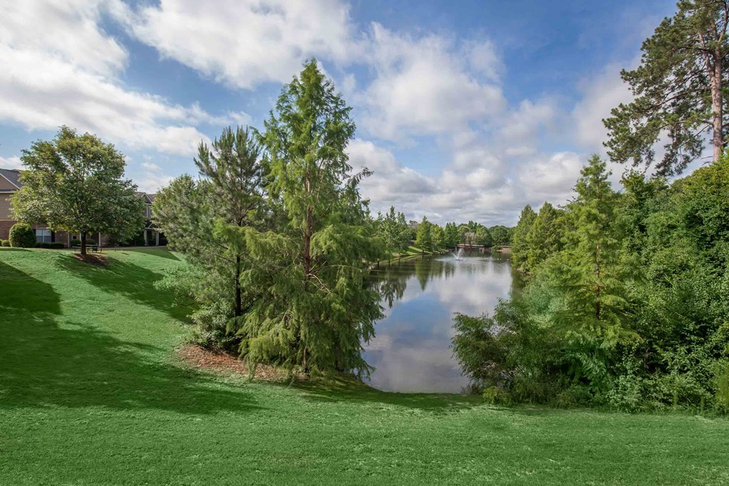 a pond in the middle of a park with trees at Carrington Place at Wildewood, South Carolina, 29223