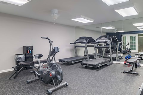 A gym with a variety of equipment including treadmills, stationary bikes, and weight machines.