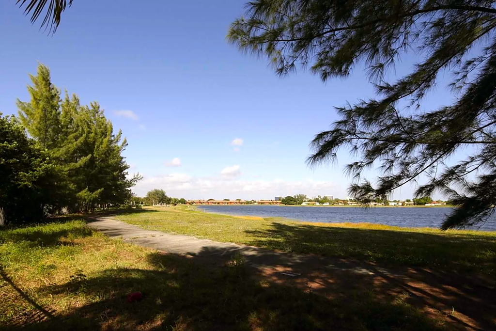 a path leading to a body of water with trees on either side