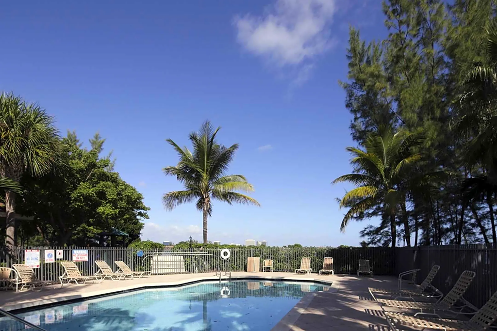 a pool with chairs and palm trees in the background