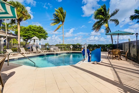 A pool surrounded by palm trees and a blue sky.