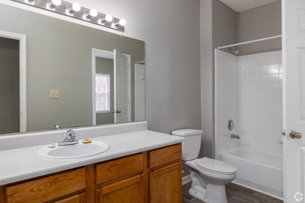 a bathroom with a sink toilet and a mirror at Magnolia Lake Apartments, Carrollton