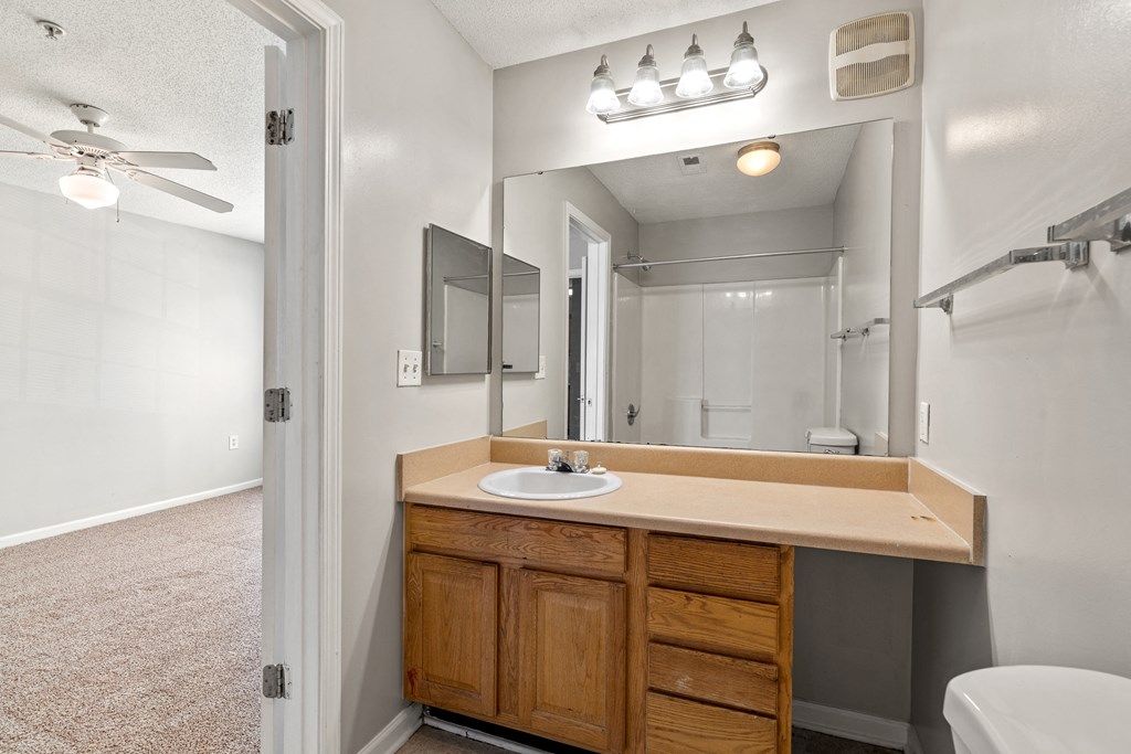 a bathroom with a sink and a mirror at Palms on Ashley River Apartments, Ladson, SC, 29456