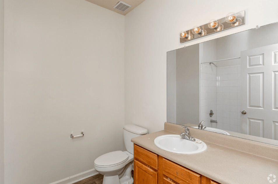 a bathroom with a sink and a toilet and a mirror