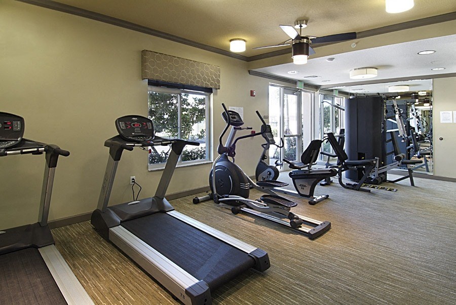 a gym with treadmills and other exercise equipment in a building