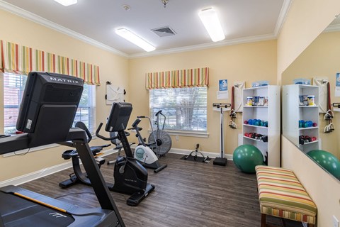 A gym with a treadmill, exercise bike, and other equipment.