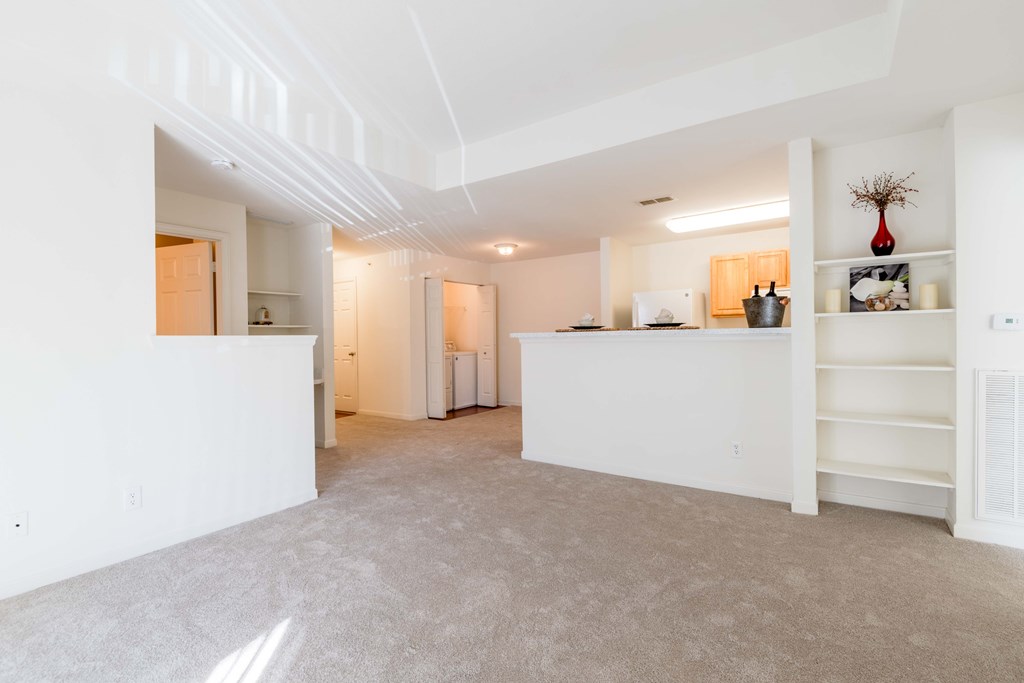 A white room with a carpeted floor and a white cabinet with shelves.