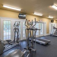 A gym with treadmills, elliptical machines, and other cardio equipment.