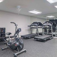 A gym with a treadmill, elliptical trainer and a stationary bike.