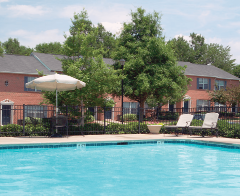 the swimming pool at the apartments for rent