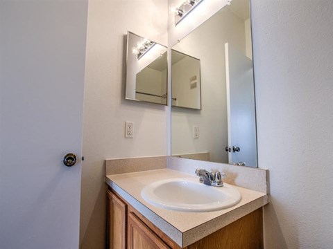 a bathroom with a sink and a mirror