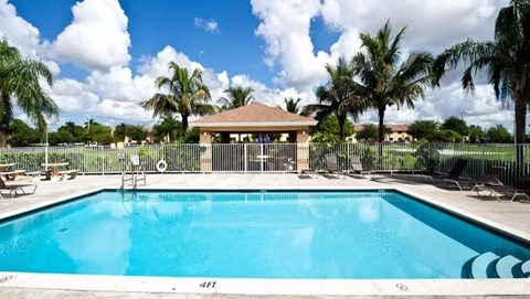 A swimming pool surrounded by palm trees and a fence.