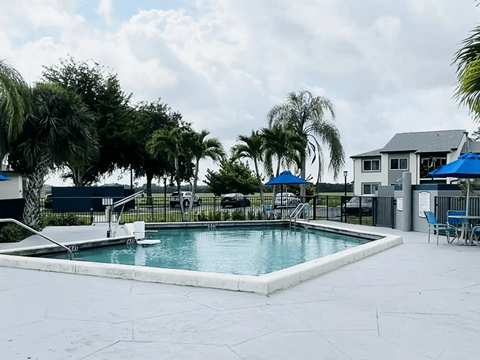 A pool surrounded by palm trees and blue umbrellas.