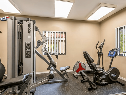 A gym with a variety of equipment including a treadmill, a stationary bike, a leg press machine, and a cable machine.