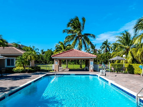 A swimming pool in a backyard with a gazebo and palm trees.