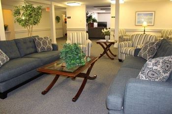 A living room with a grey couch and a coffee table with a plant on it.
