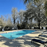 A pool surrounded by trees and sun loungers.