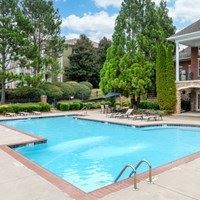 A small pool surrounded by trees and bushes.