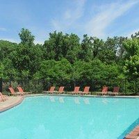 A pool surrounded by trees and chairs.