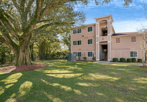 a large house with a large tree in front of it