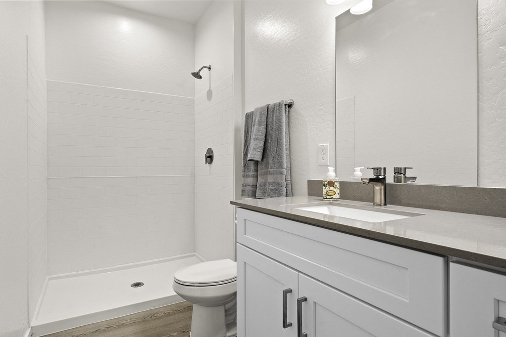a bathroom with a sink and a toilet and a shower