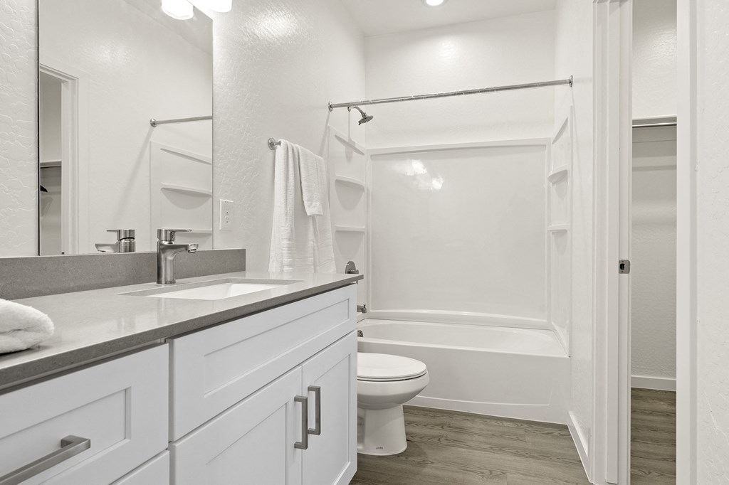 a bathroom with a sink and a toilet and a shower