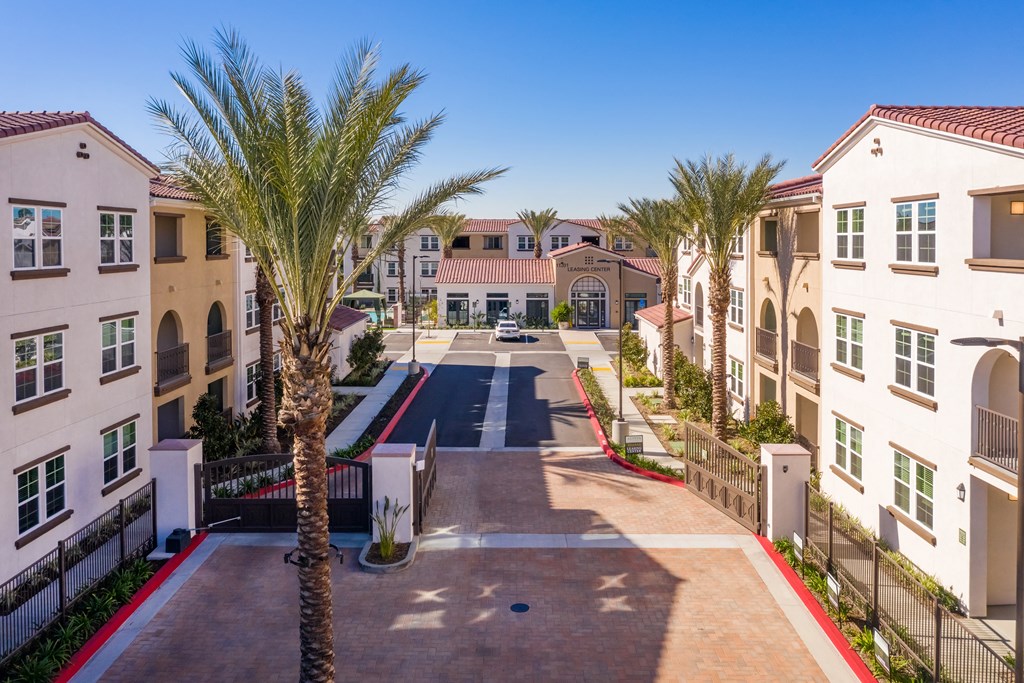 a street with palm trees in front of a row of apartment buildings
