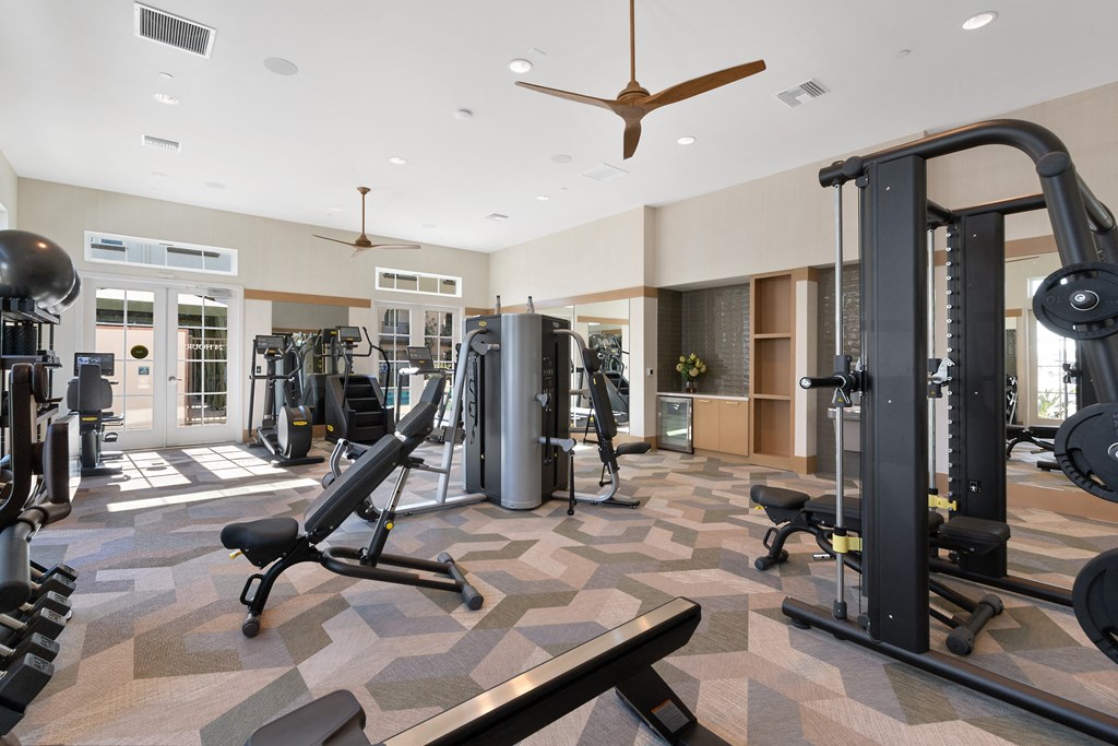 a gym with weights and cardio equipment in a luxury home