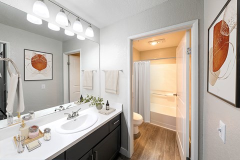 Primary-bathroom-bathtub