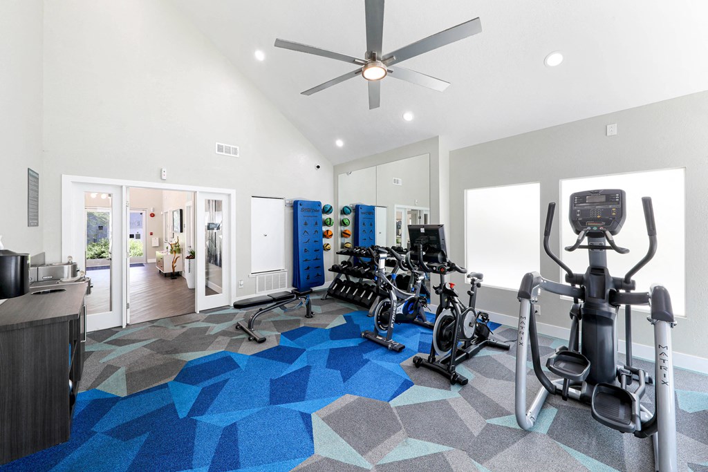 the gym at the preserve at green valley apartments in green valley ga