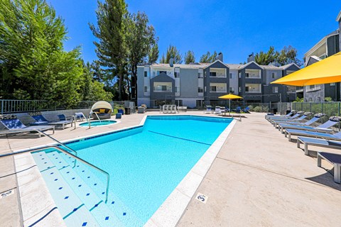 our apartments have a swimming pool with chairs and umbrellas