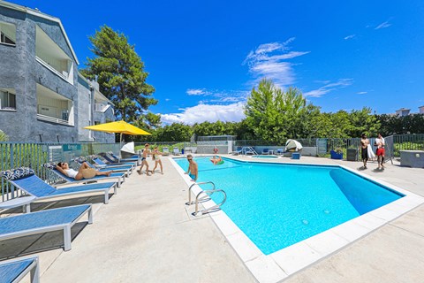 pool-chairs-umbrella