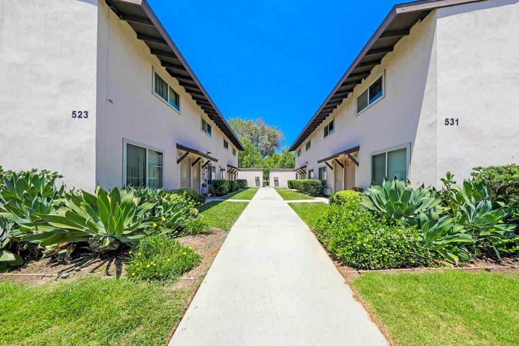 a walkway between two buildings with plants on either side of the walkway