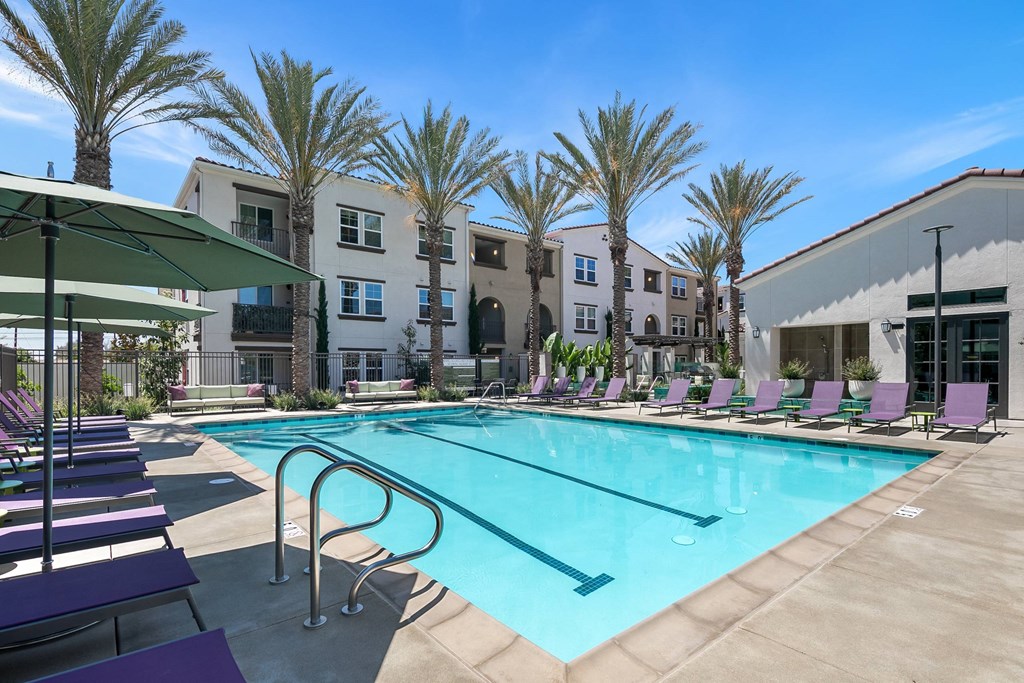 our apartments offer a swimming pool