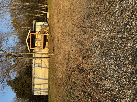 A tree with a house in the background.