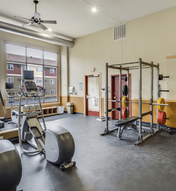 a gym with weights and other equipment and a window at Campus Park, Minnesota, 55811