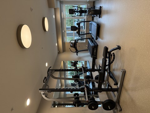 A gym with a mirror, weights and exercise equipment.